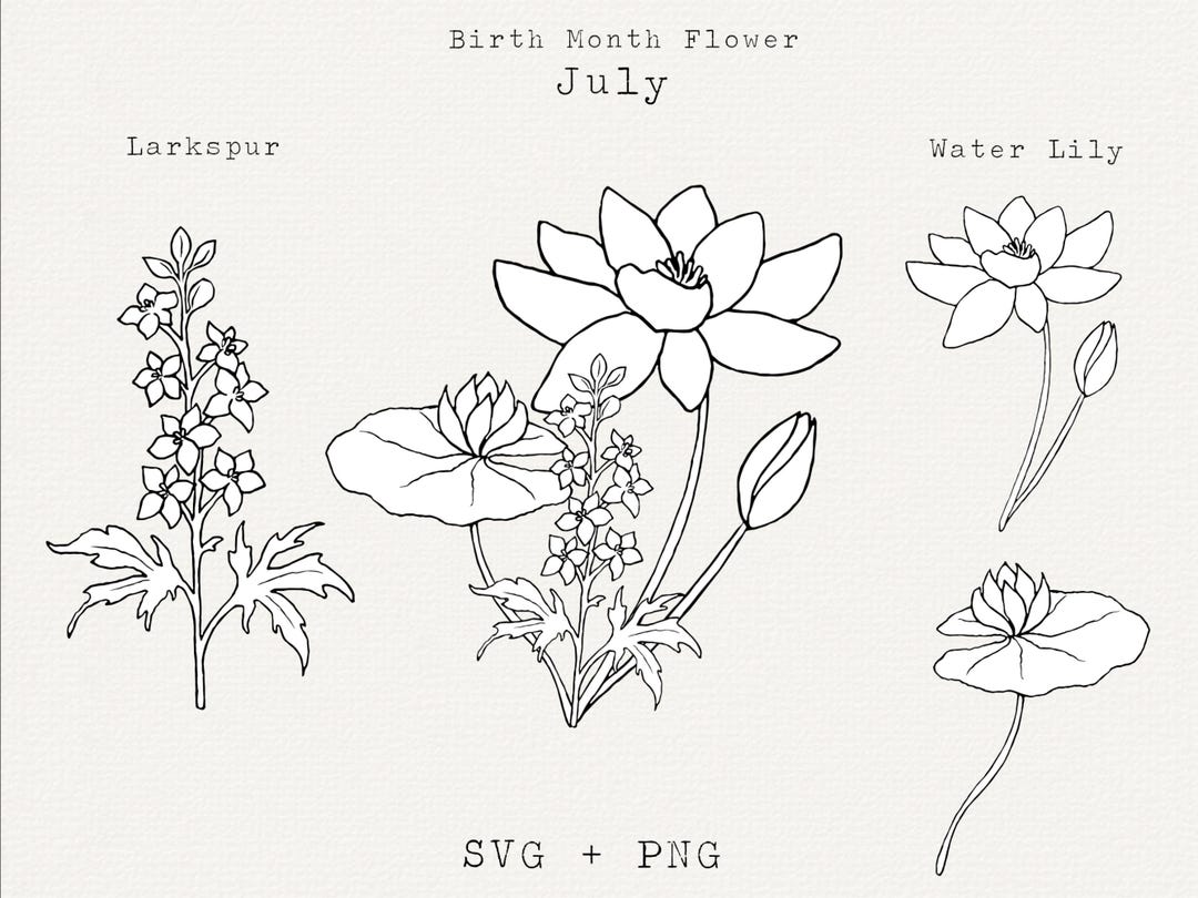 Water Lily SVG, Lilly Pad SVG, Larkspur SVG, July Birth