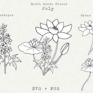 Nénuphar SVG, Lilly Pad SVG, SVG pied d'alouette, fleurs du mois de naissance juillet, fleurs d'anniversaire pour juillet, ligne florale Art Clip Art, fichier de coupe Cricut,