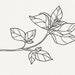 Basil SVG Clip Art, Commercial Use, Basil Plant Vector Illustration ...