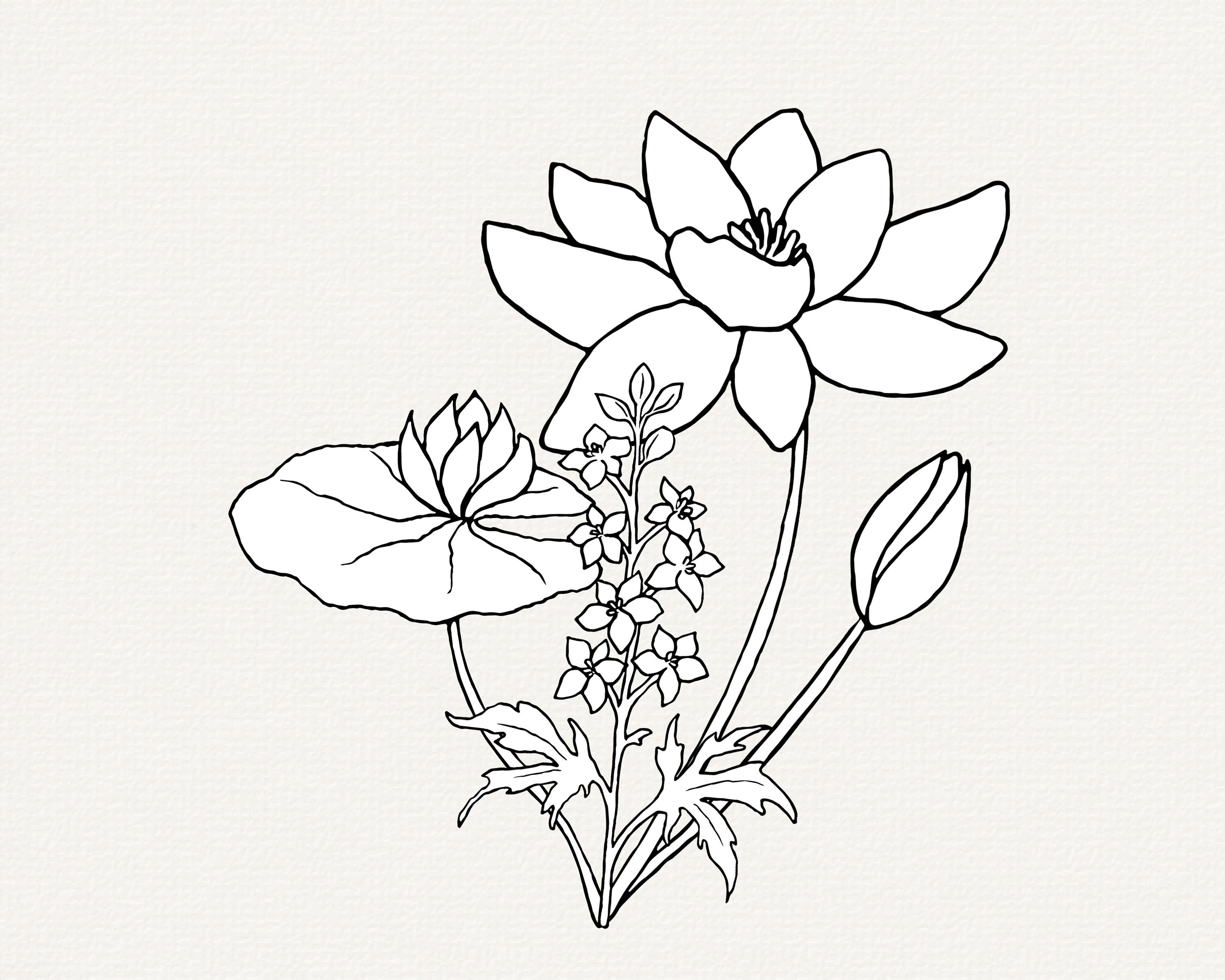 Water Lily SVG, Lilly Pad SVG, Larkspur SVG, July Birth