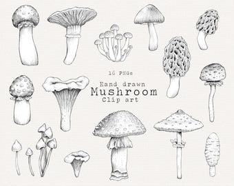 Grafika wektorowa grzyba, ręcznie rysowane ilustracje botaniczne (PNG)