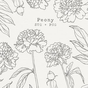 Pfingstrose SVG, Pfingstrosen Clip Art, Blume Line Art, Cricut Cut Datei, einfache Umriss-Zeichnung, für Hochzeit, Briefpapier, Tattoo, kommerzielle Nutzung