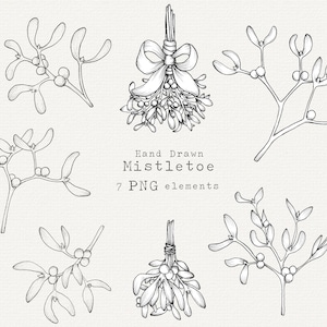 Pacote PNG de visco desenhado à mão, botânico de inverno, arte de linha de Natal, ilustração vintage, cartões de Natal, convites, uso comercial
