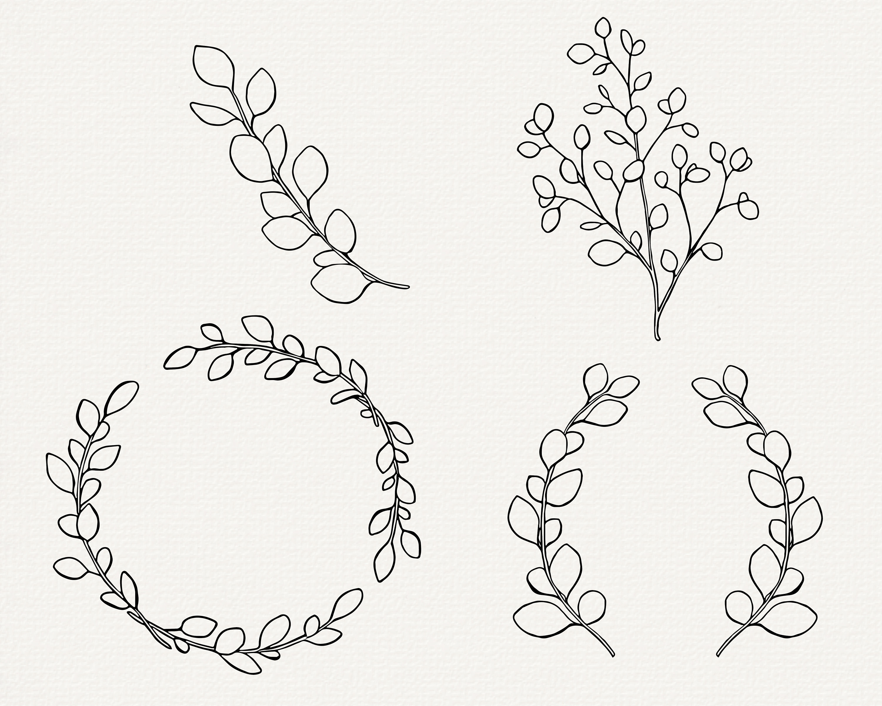 Eukalyptus SVG Eukalyptus Line Art Handgezeichneter - Etsy Schweiz