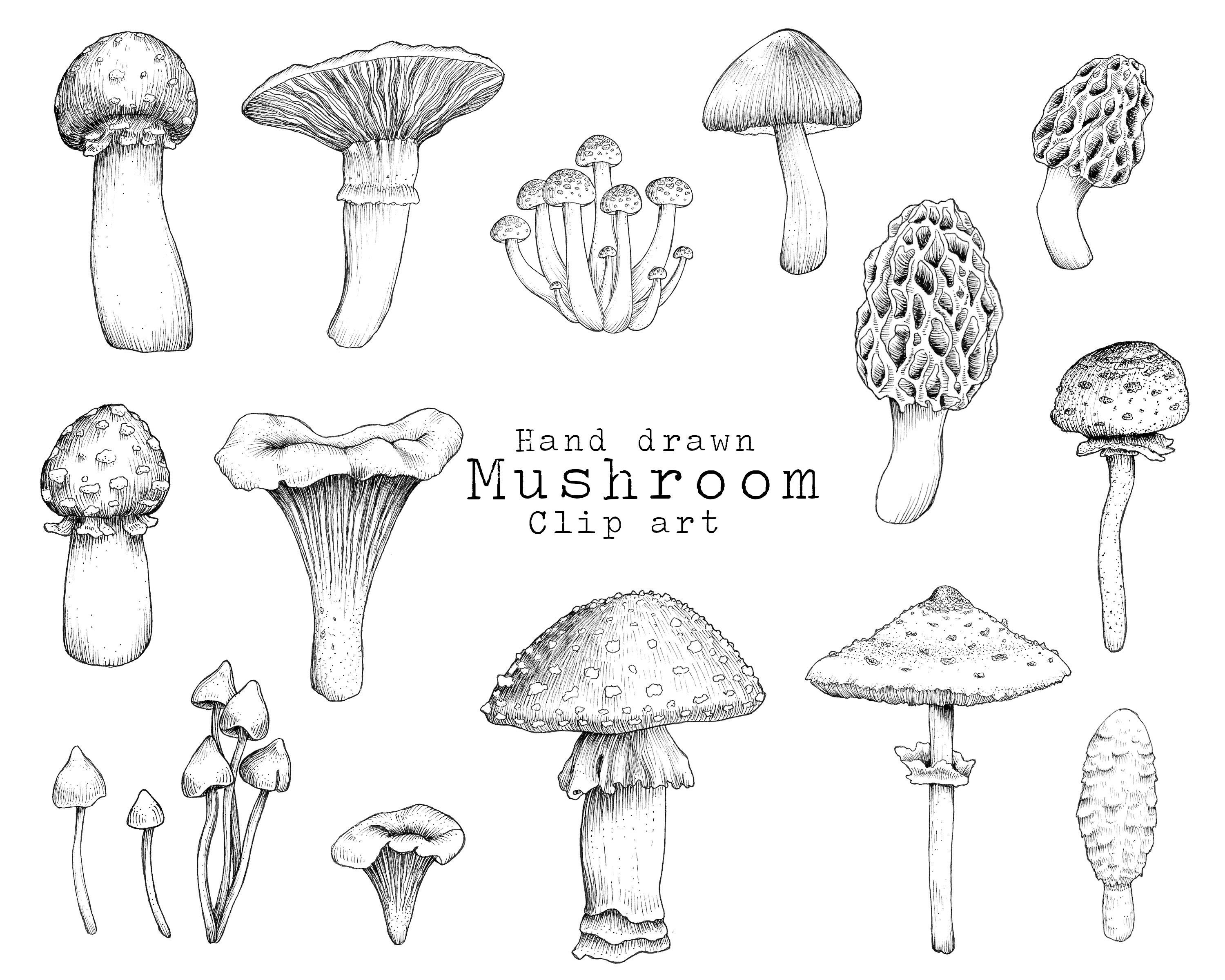 Mushroom Clipart Black And White