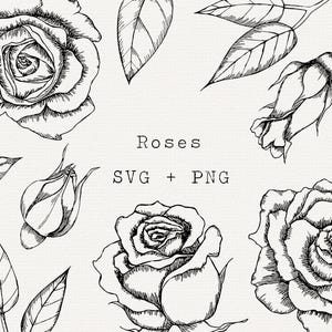 Rose SVG, Rose Vektor-Grafik, handgezeichnete Rosen, Florale Kontur, botanische SVG Schnittdatei, Blumen Linie Kunst für Hochzeitseinladung, sterben Schnitt
