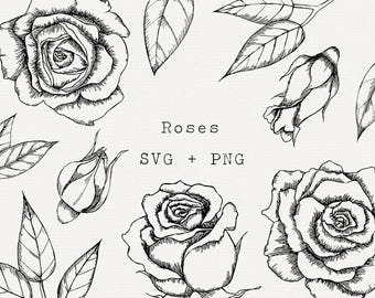 Rose, Floral Clipart, Outline, Flower, Botanical Illustration, Cricut (png, eps, dxf)
