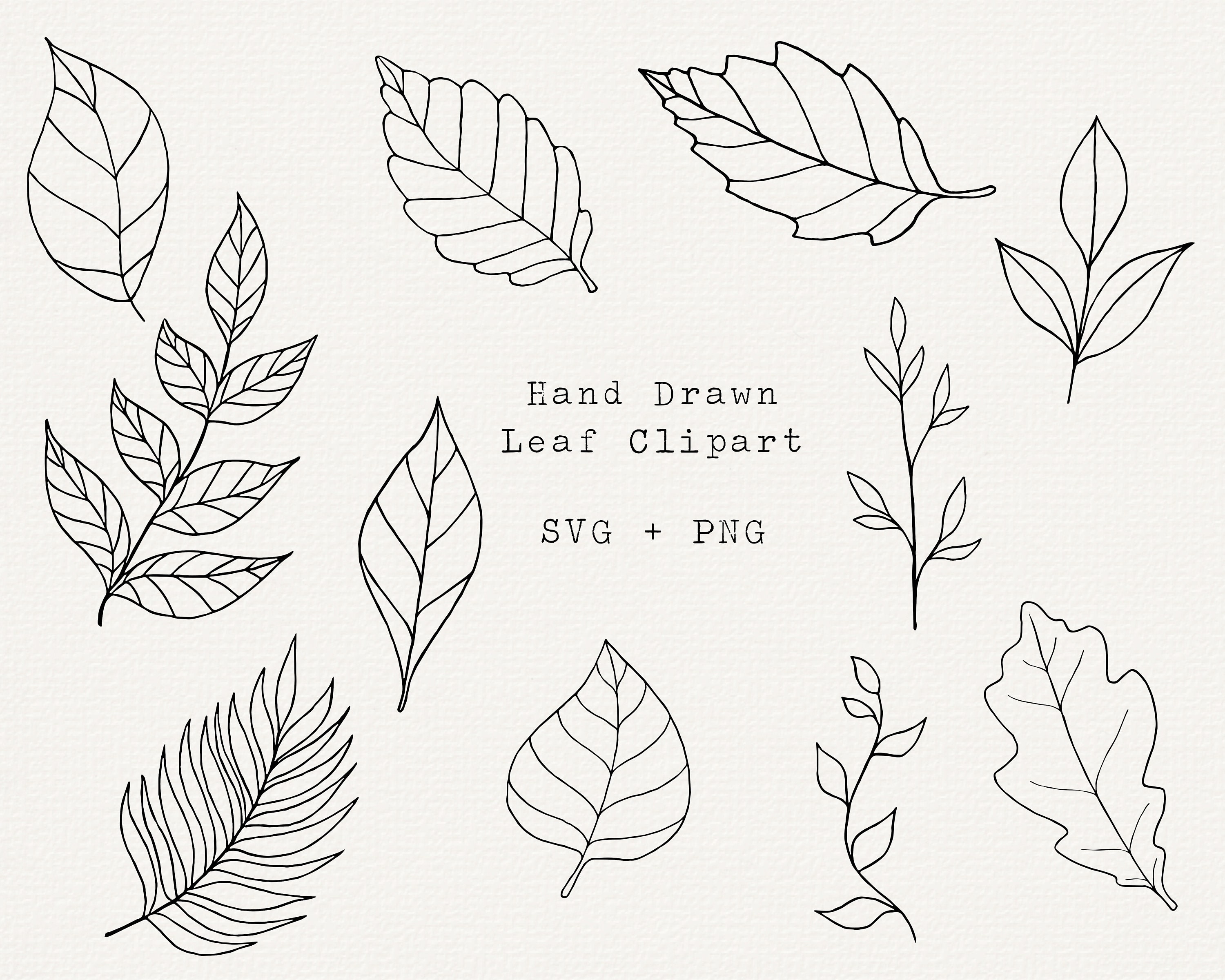Leaf Clipart Outline