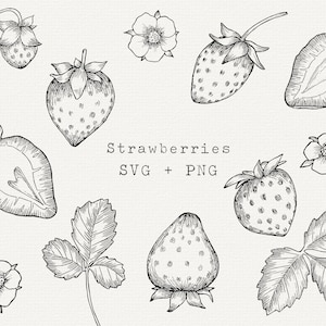 Strawberry SVG, Hand Drawn Strawberry Vector for Labels, Cricut Cut File, Logo, Stickers, Berries, Black and White Line Art, Rustic Clipart