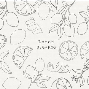 Lemon SVG Bundle, Lemons Botanical Illustration for Commercial Use, Cut File for Cricut, Silhouette, Simple Line Art, Tattoo, Labels, Logo