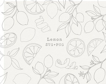 Lemon SVG Bundle, Lemons Botanical Illustration for Commercial Use, Cut File for Cricut, Silhouette, Simple Line Art, Tattoo, Labels, Logo