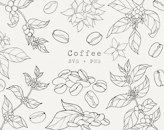 Coffee SVG Bundle, Commercial Use, Coffee Bean Vector, Coffee Plant Line Art, Line Drawing, Cut File for Cricut, Clipart, Label, Cafe Logo