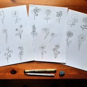 May include: Three sheets of paper with hand-drawn line art illustrations of various flowers. The flowers are labeled with their names, such as "Poppy", "Lily", and "Daisy".