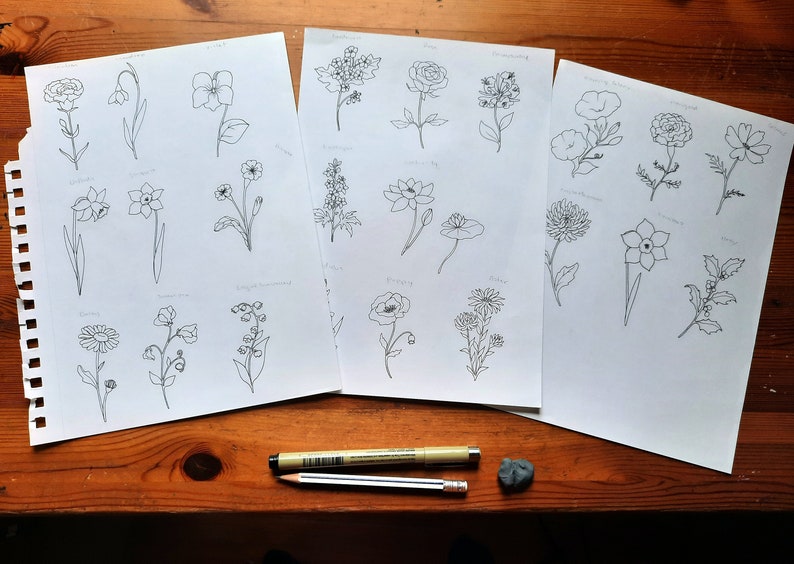 May include: Three sheets of paper with hand-drawn line art illustrations of various flowers. The flowers are labeled with their names, such as "Poppy", "Lily", and "Daisy".