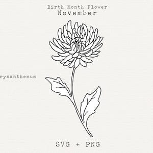 Chrysanthème SVG, clipart dessinés à la main fleur de chrysanthème, fleur du mois de naissance novembre, fleur d'anniversaire, fichier de coupe Cricut, dessin au trait Floral