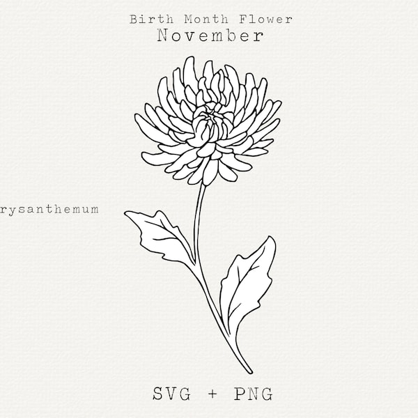 November Birth Flower Chrysanthemum SVG PNG, Floral Line Art, Botanical Print, DIY Cricut Silhouette