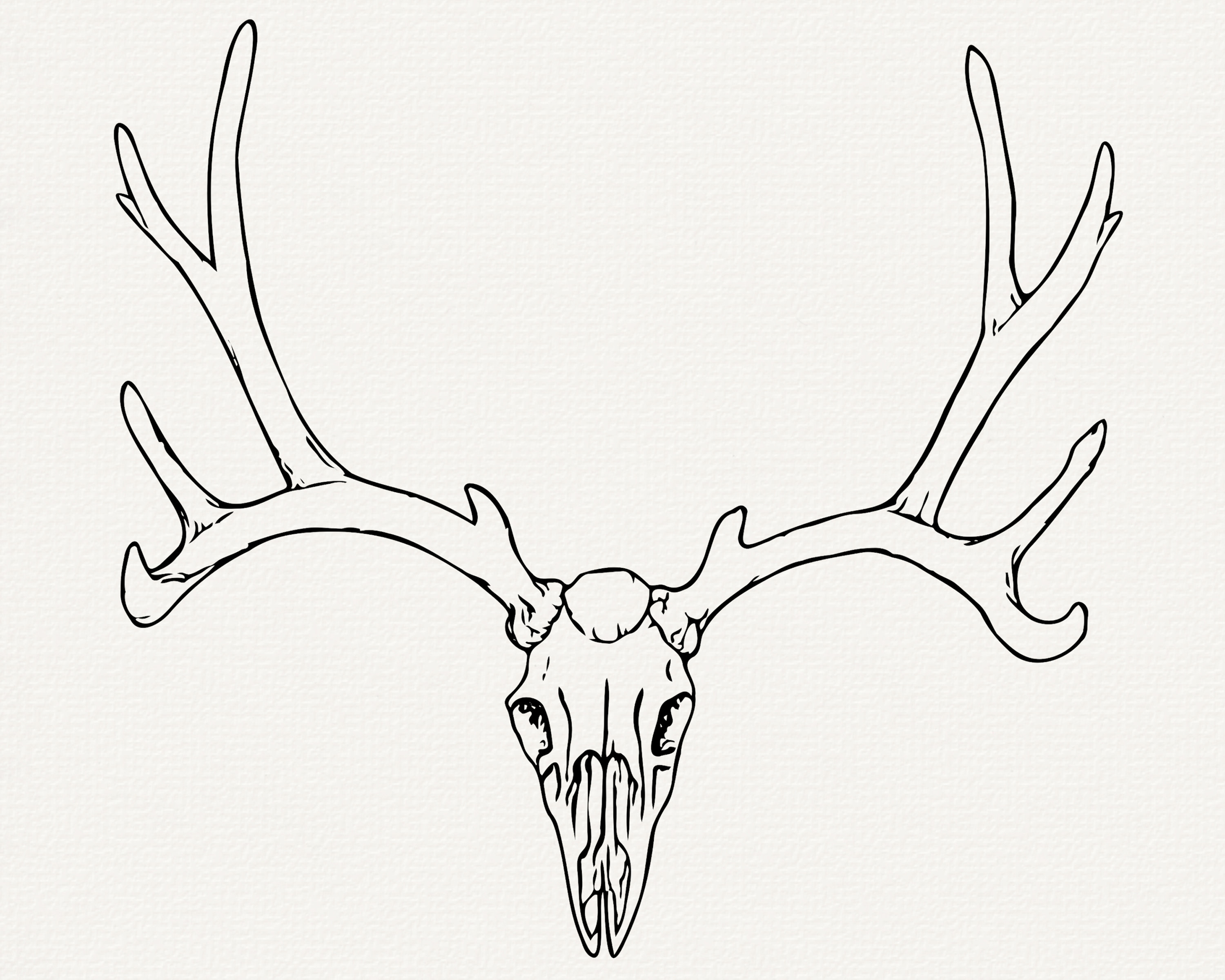 Placez Des Bois De Cerf Sur Le Bouclier, Un Chapeau De Chasseur Et Des  Cornes D'orignal Sur Le Bouclier. Bouton Carré Blanc. Vecteur Clip Art  Libres De Droits, Svg, Vecteurs Et Illustration.