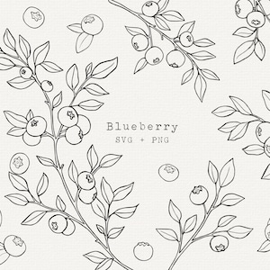 Bosbessen SVG, bosbes plant vector illustraties, bes zeer fijne tekeningen, Cricut gesneden bestand, eenvoudige omtrek tekenen, gravure, tatoeage, commercieel gebruik