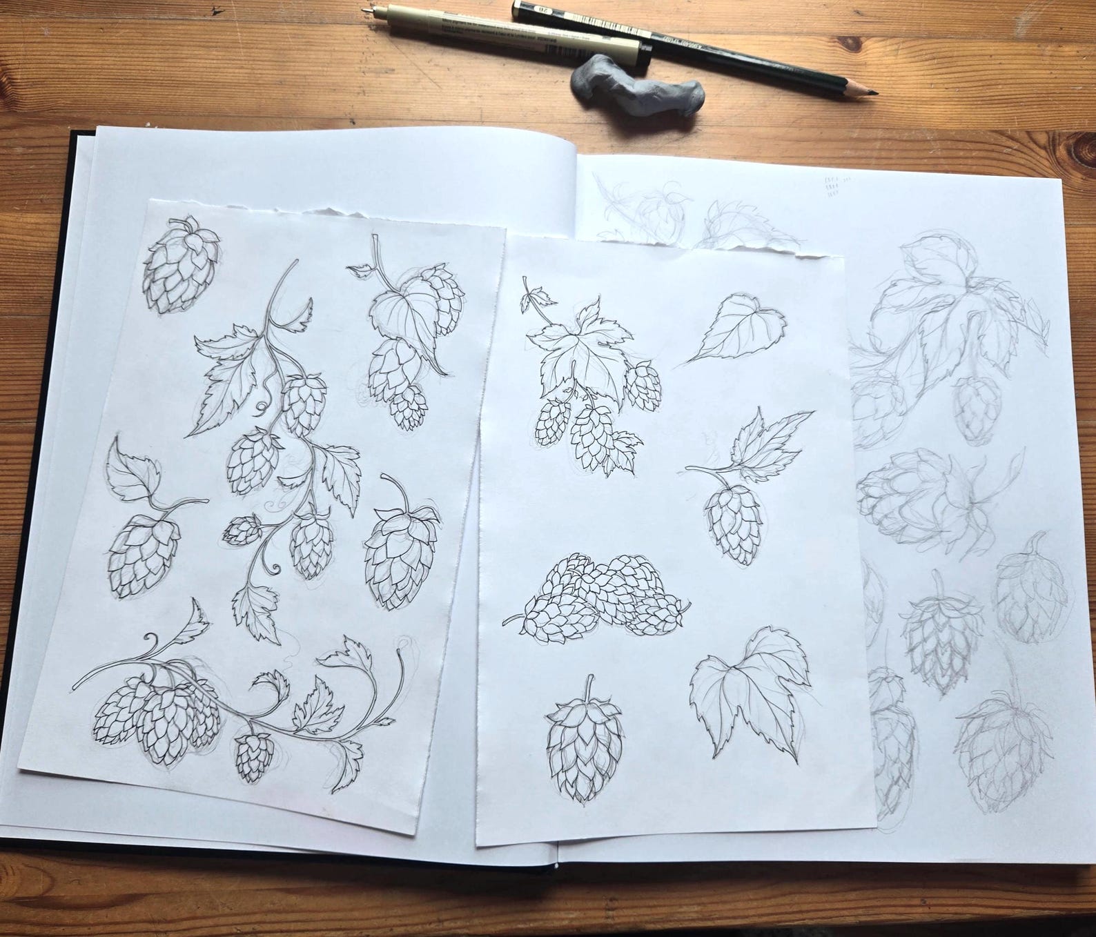 Hops Indesign Hops Clipart - Botanical Line Art, Hop Vine, Beer Brewing Design ...