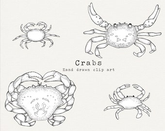 Crab Clip Art, Hand Drawn Crab Clipart, Vintage Sea Creature Clipart, Beach Line Art, Nautical Illustration, Crab Outline, Sea Creatures PNG