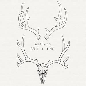 Corna di cervo in formato SVG, ClipArt realistica di corna di cervo, File di taglio per Cricut, Uso commerciale, Vettore rustico boho disegnato a mano, Teschio di cervo disegnato a mano, Scaffale