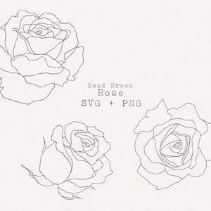 Dessin au trait rose SVG, SVG botanique, floral Svg, clipart floral au trait, contour de Rose, fichier de coupe, Cricut, Rose dessiné à la main, téléchargement immédiat