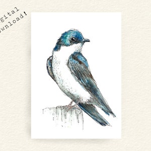 Baum Schlucken digitaler Download - druckbare Aquarell Vogel Kunst - Aquarell Malerei - kanadische Vögel - druckbare Grußkarte