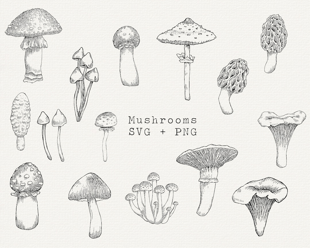 Mushroom SVG, Mushroom Clipart, Mushroom Line Art, Mushroom Vector