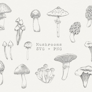 Mushroom SVG, Mushroom Clipart, Mushroom Line Art, Mushroom Vector, Mushrooms Bundle, Back and White Mushroom Illustration, Commercial Use image 1