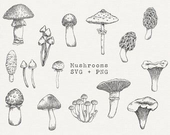 Mushroom Line Art SVG Bundle, Botanical Clipart (PNG)
