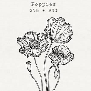 Coquelicot SVG, vecteur de coquelicots, Floral Line Art Clipart, Illustration botanique, dessin au trait fine pour faire-part de mariage, contour, fichier coupé, Cricut