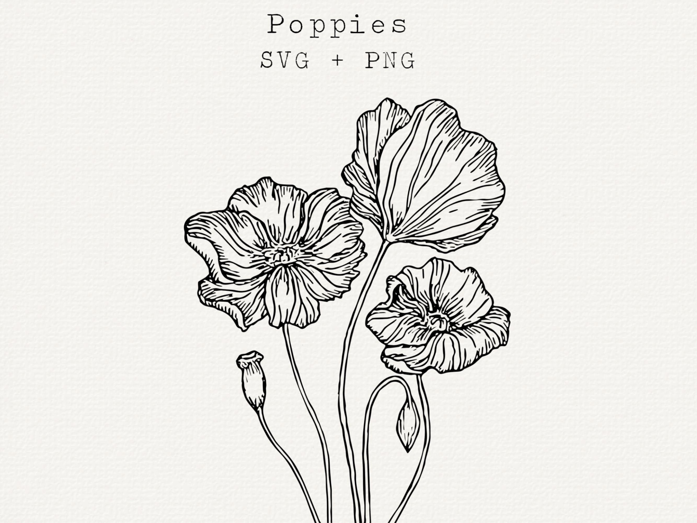 ポピーの線画 SVG PNG、花のアウトラインクリップアート、植物イラスト