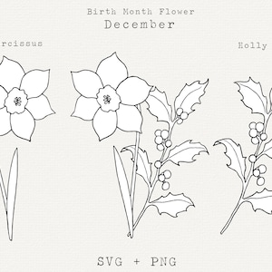 Hulst SVG, narcisbloem SVG, geboortemaand december bloemen, december verjaardag bloemen illustraties, florale lijntekeningen, bloemoverzicht, gesneden bestand