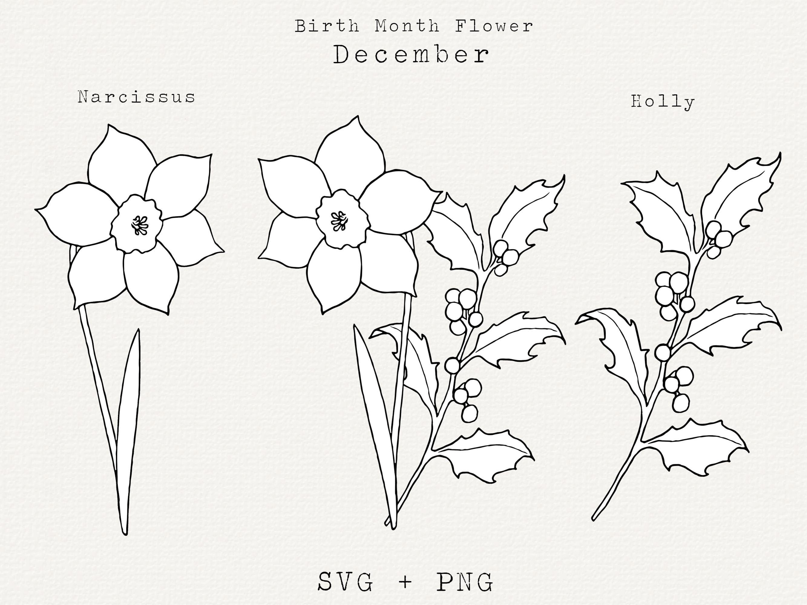 December flower discount