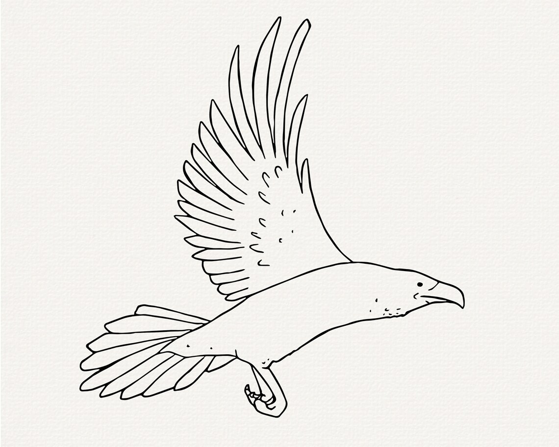 Raven Line Patterns Raven Line Art SVG Bundle, Bird Outline (commercial Use) - Etsy Canada