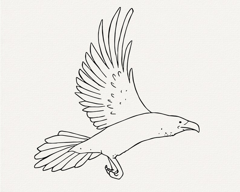 Raven Line Form Raven Line Art SVG Bundle, Bird Outline (commercial Use) - Etsy