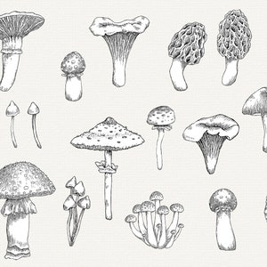 Mushroom SVG, Mushroom Clipart, Mushroom Line Art, Mushroom Vector, Mushrooms Bundle, Back and White Mushroom Illustration, Commercial Use image 2