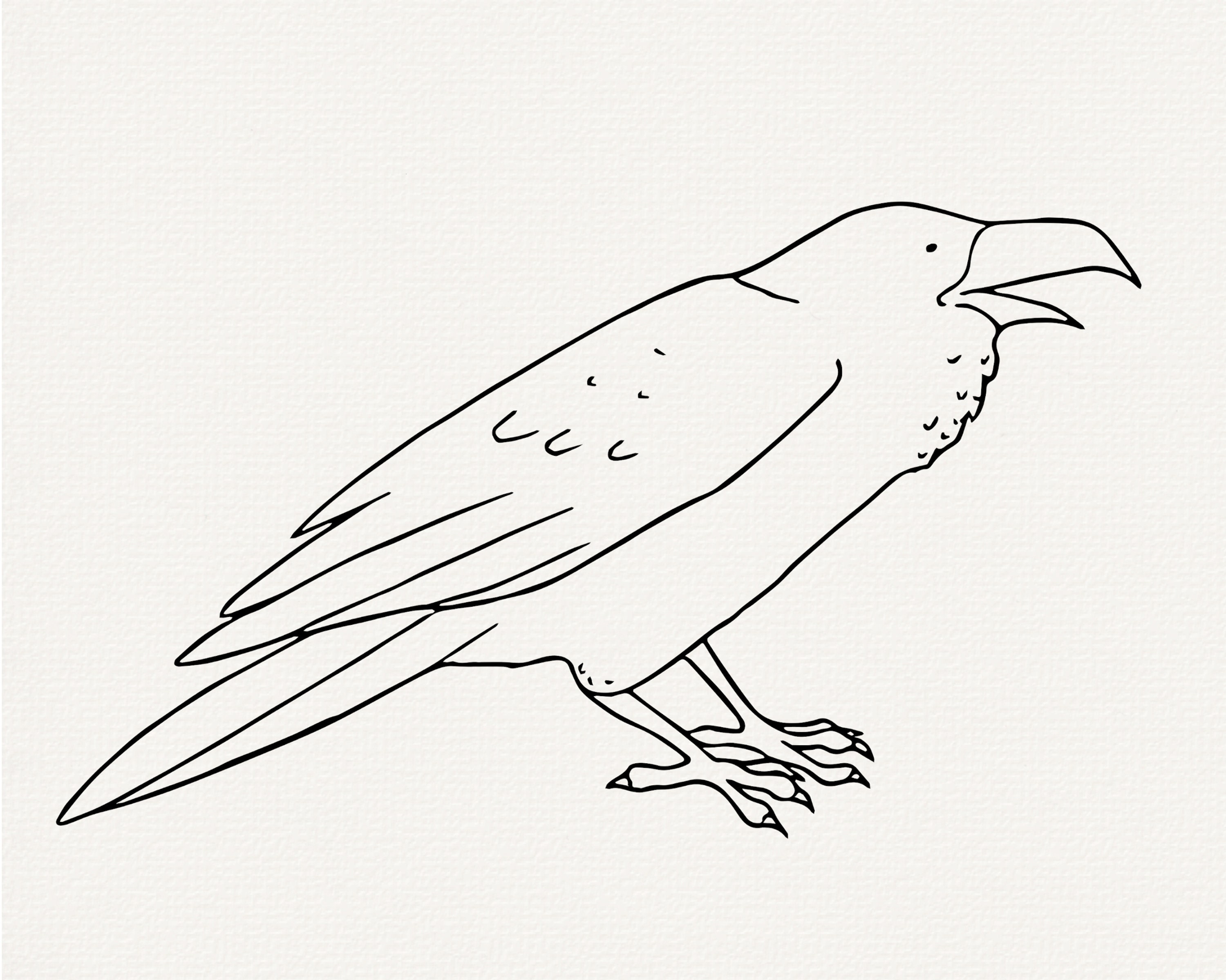 Raven Line Patterns Raven Line Art SVG Bundle, Bird Outline (commercial Use) - Etsy Canada
