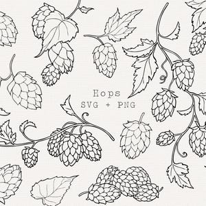Könnte beinhalten: Schwarz-Weiß-Illustrationen von Hopfen, einschließlich Zapfen und Blättern, in einem zufälligen Muster angeordnet. Das Wort "Hops" wird über "SVG + PNG" angezeigt. Geeignet für digitale Designprojekte.