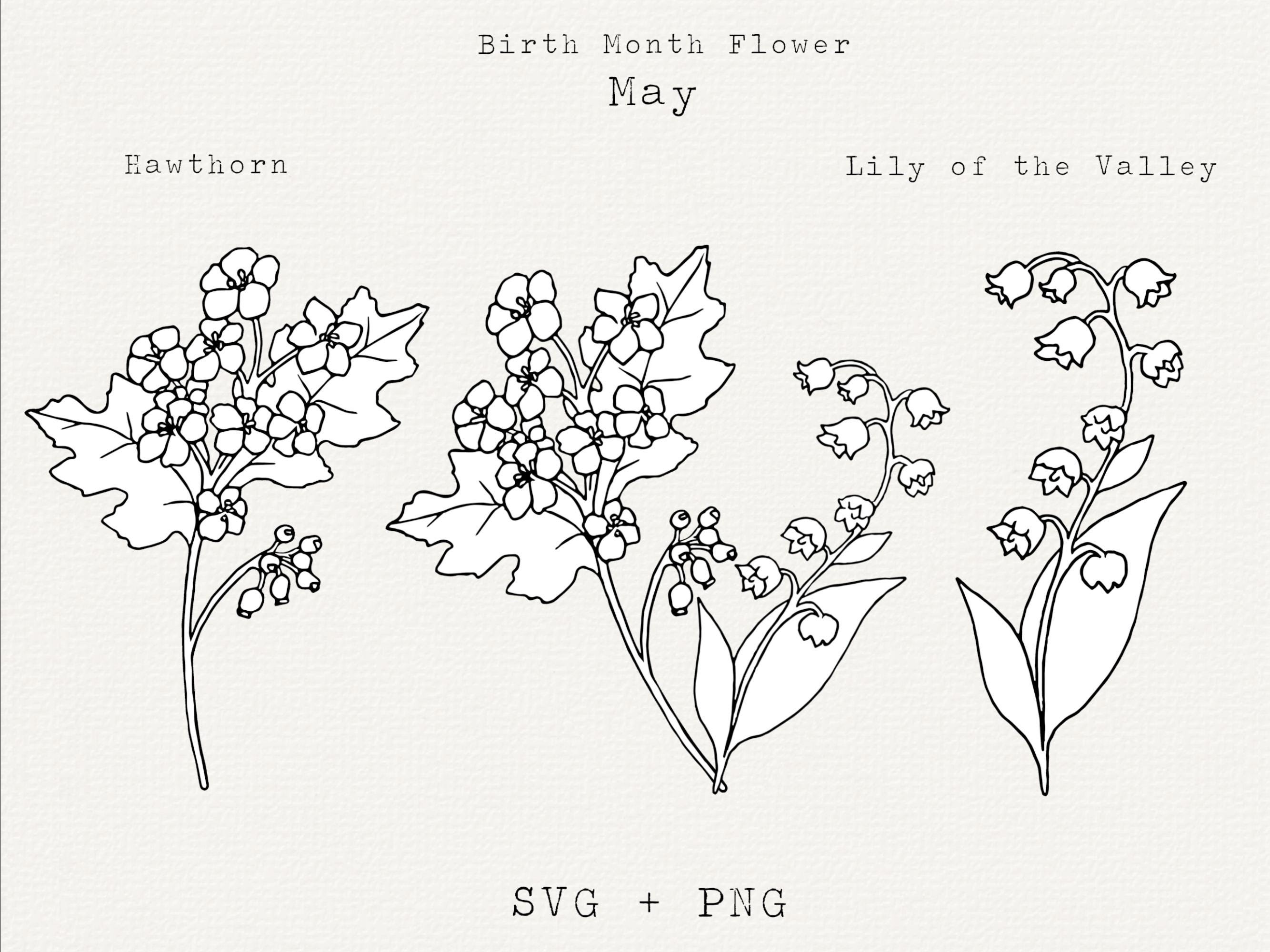Lily of the Valley & Hawthorn Tattoo Meaning