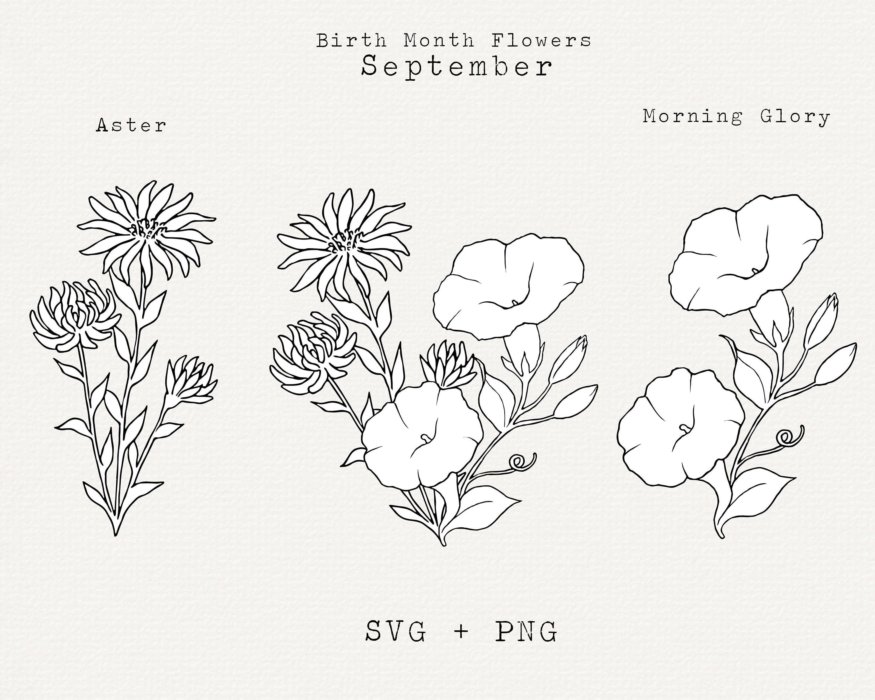 Buy September Birth Month Flower SVG Birthday Flower PNG Hand Online in  India  Etsy