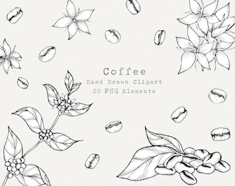 Hand Drawn Coffee Clipart, Coffee Bean & Flower PNG Elements, Commercial Use