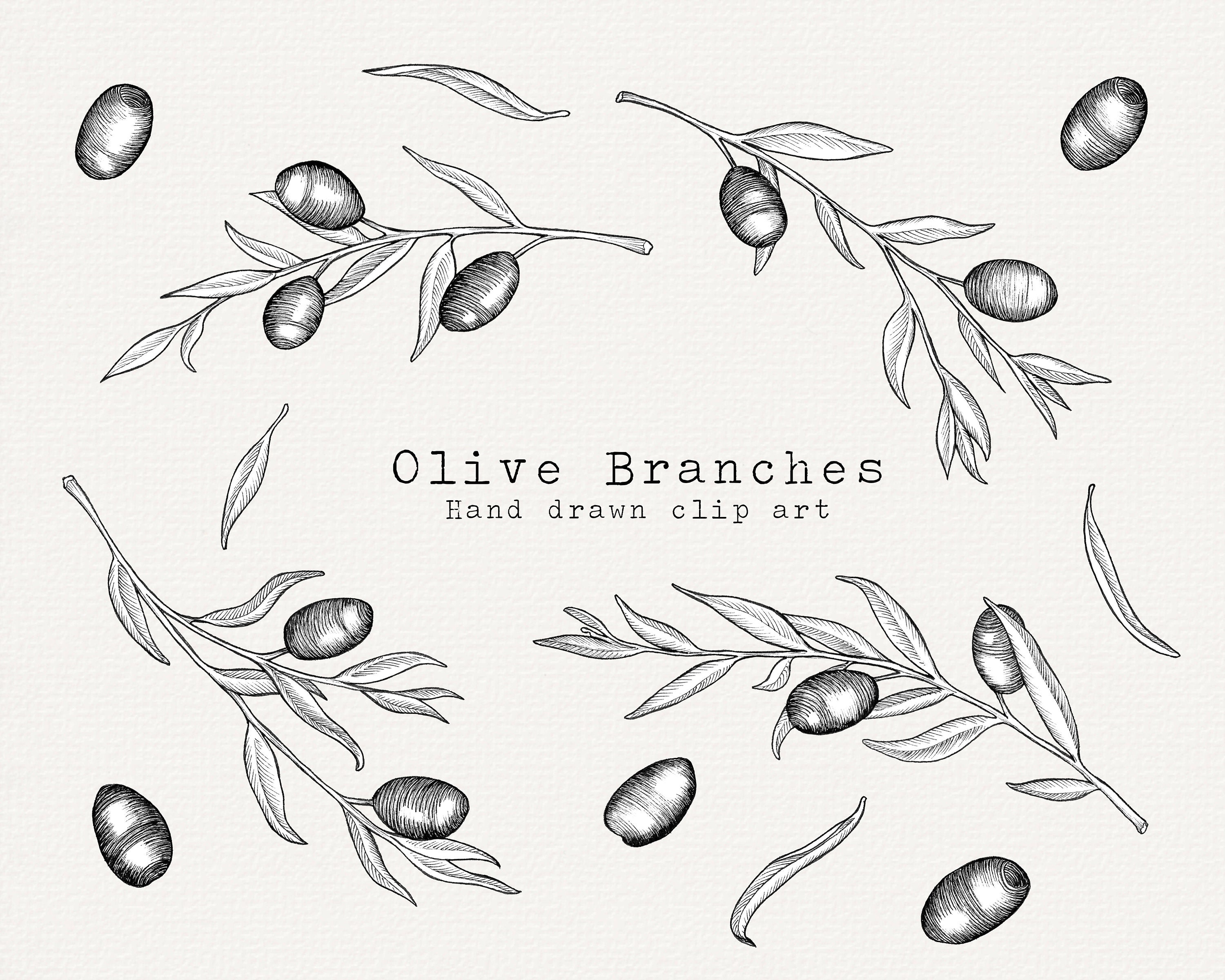Как нарисовать оливки