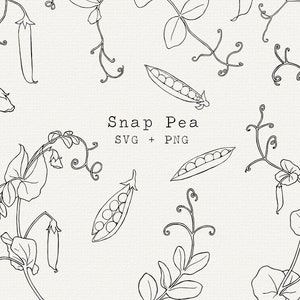 Snap Pea SVG Clip Art, süße Erbse Illustration für kommerzielle Nutzung, einfache Linie Kunst, Linie Zeichnung Download, Schnitt Datei, Cricut, kommerzielle Nutzung