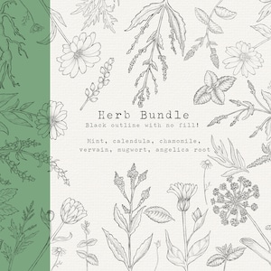 Herb Clipart Bundle, Outline, No Fill, Medicinal Herbs Hand Drawn Clipart, Herbal Remedies, Botanical PNG, Digital Flowers Botanical Clipart