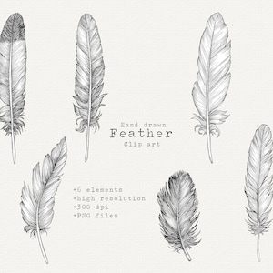 Clip Art de pena, Arte de linha de pena detalhada PNG, Clipart de pena desenhado à mão Ilustração vintage, Clipart Boho preto e branco, Realista