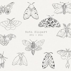 Moth SVG, Moths Clipart, Moth SVG Bundle, Moth Line Drawing, Cut File for Cricut, Diecut, Silhouette, Logo, Sublimation, Black Outline, PNG