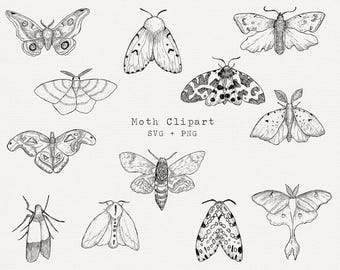 Hand Drawn Moth Clipart Set, Luna, Leopard, Death's-head Hawkmoth (SVG, PNG Digital Download)