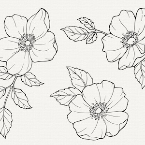 Pu&ograve; includere: Un disegno in bianco e nero di tre fiori, ognuno con cinque petali. I fiori sono disegnati con una linea delicata e fluida e hanno un design semplice ed elegante.