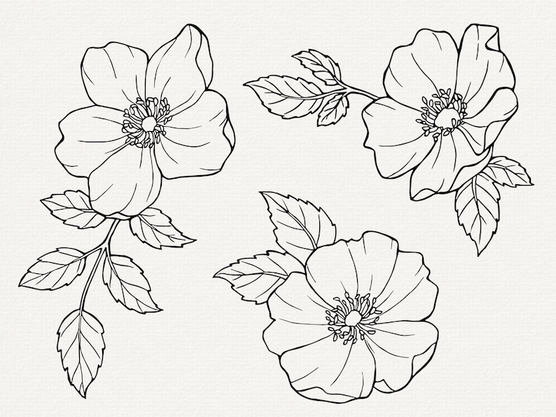 Pu&ograve; includere: Un disegno in bianco e nero di tre fiori, ognuno con cinque petali. I fiori sono disegnati con una linea delicata e fluida e hanno un design semplice ed elegante.